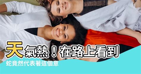 在路上看到蛇代表什麼|【看到蛇是什麼意思】蛇出沒該如何應對？民俗專家：看到蛇必做。